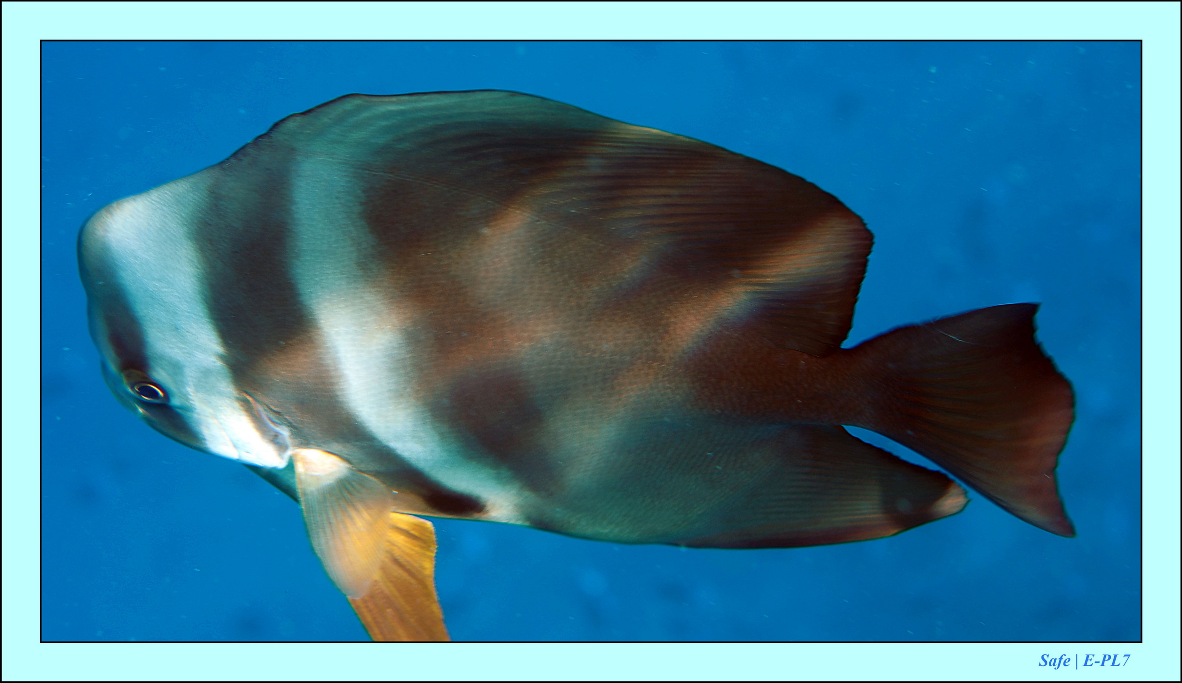 2023 - 07 - Sandies Bathala - 102